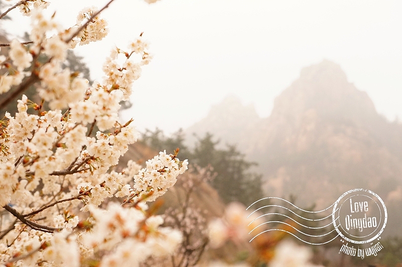 【wujian】倾国“青”城—Love QingDao