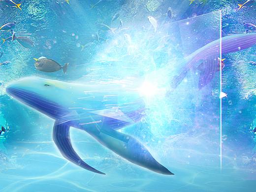 鯨（個人主頁-ZMjY2NzcwMDQ=） - 創(chuàng)作習(xí)作 - 站酷設(shè)計師一夏_ll原創(chuàng)素材 - 站酷ZCOOL