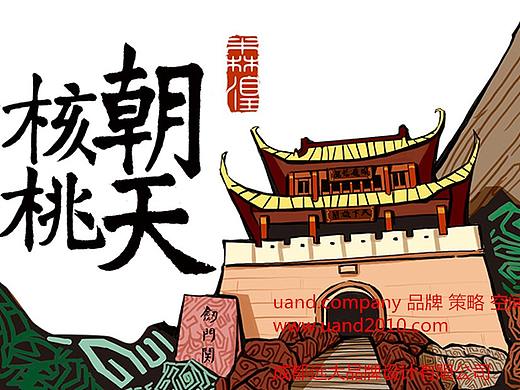 四川广元朝天核桃包装设计，女皇故里，朝天一绝！