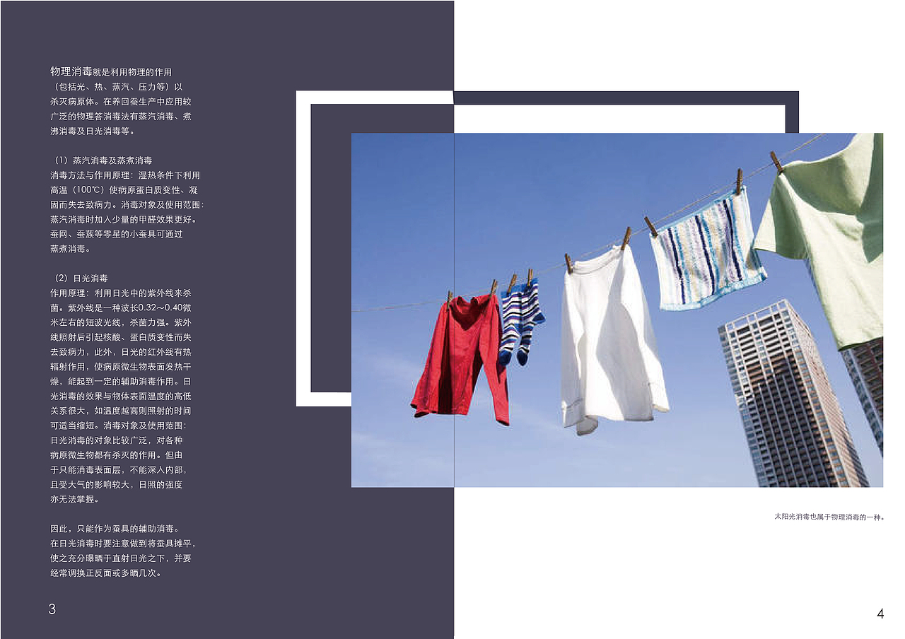 《当最后一个病毒被消灭》