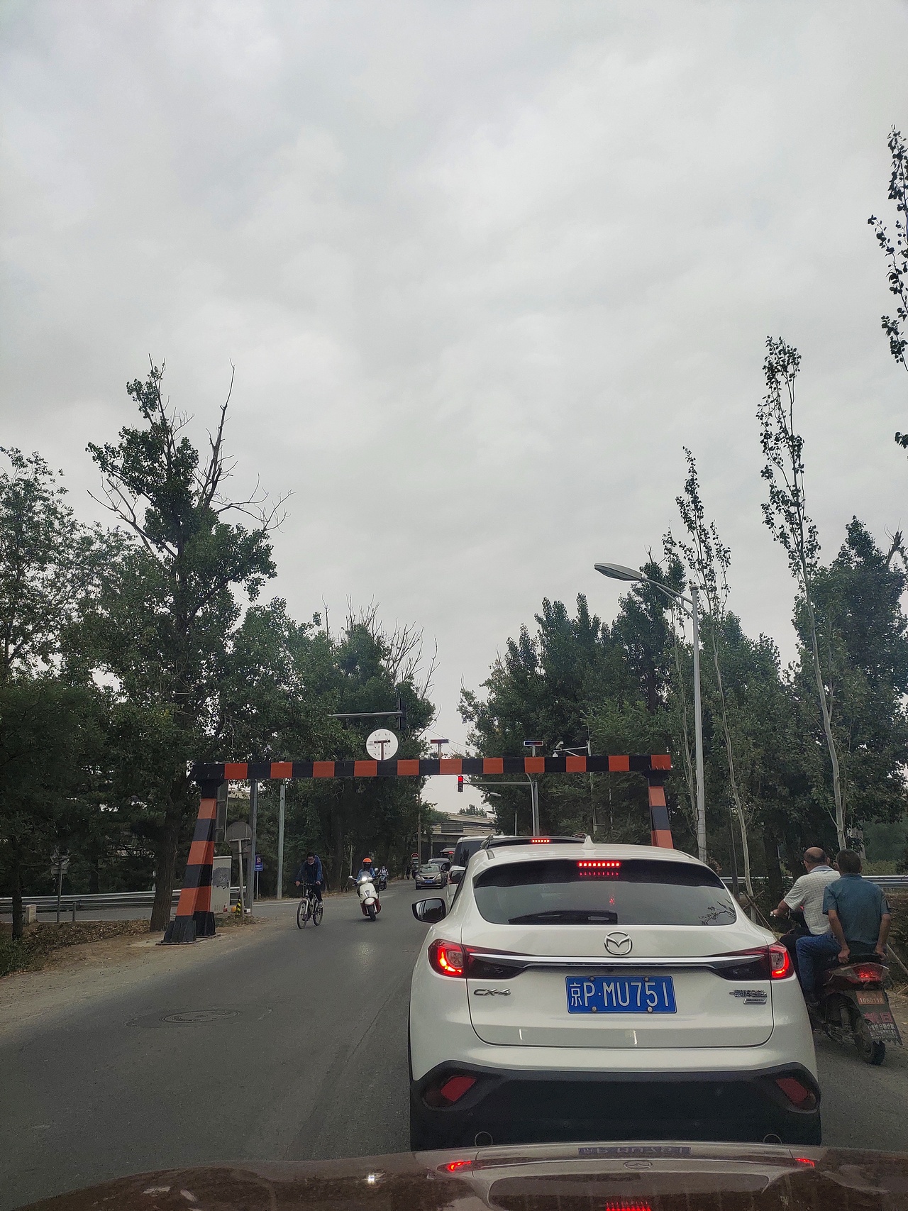 豪情壮志在我胸