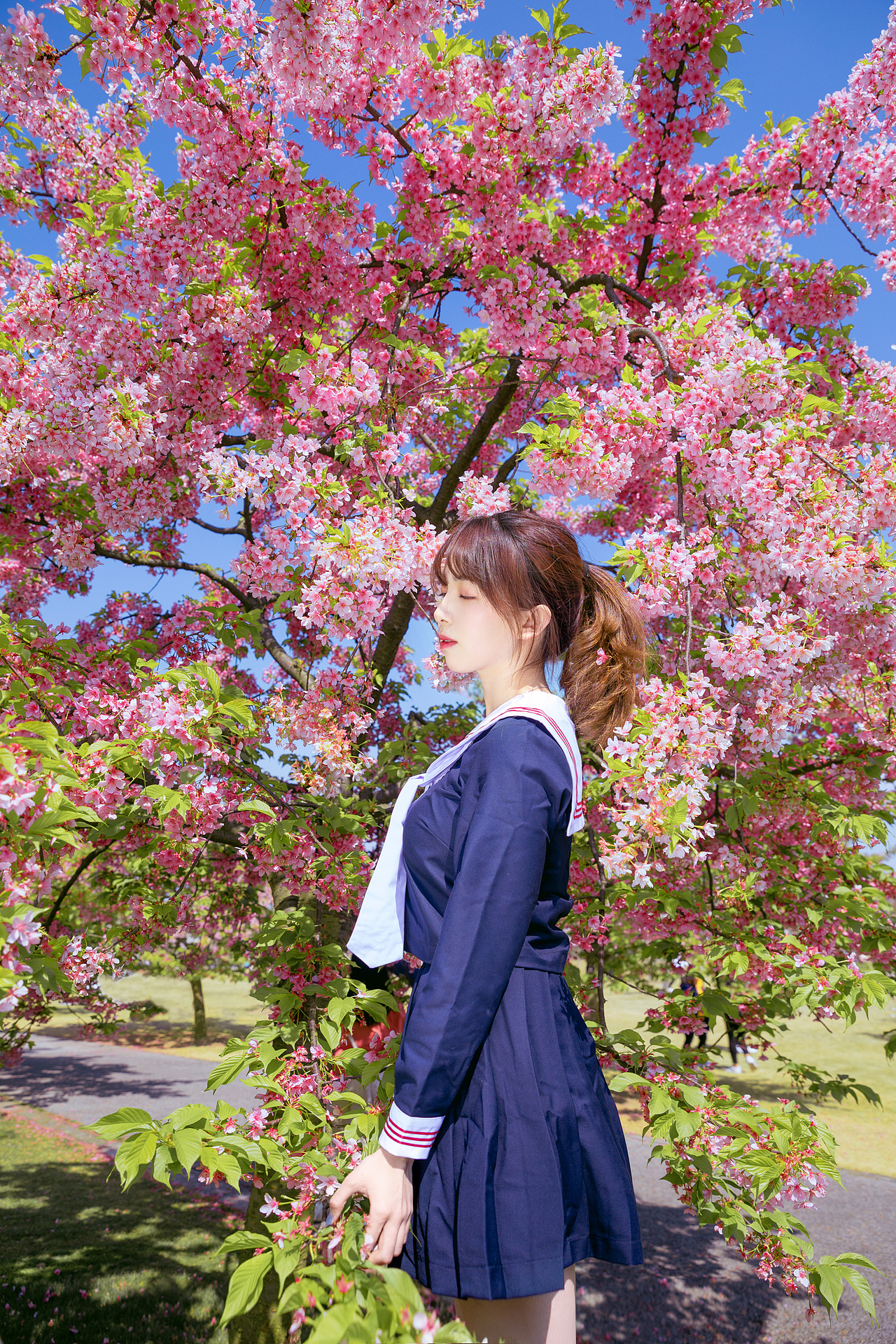 樱花少女（图ZMTU5NTY4MzI0） - 人像摄影 - 站酷设计师宝藏摄影JY原创素材 - 站酷ZCOOL