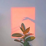碎婷呀的头像