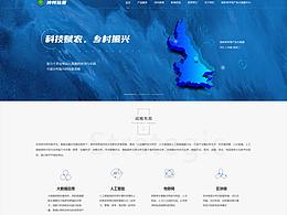 网站