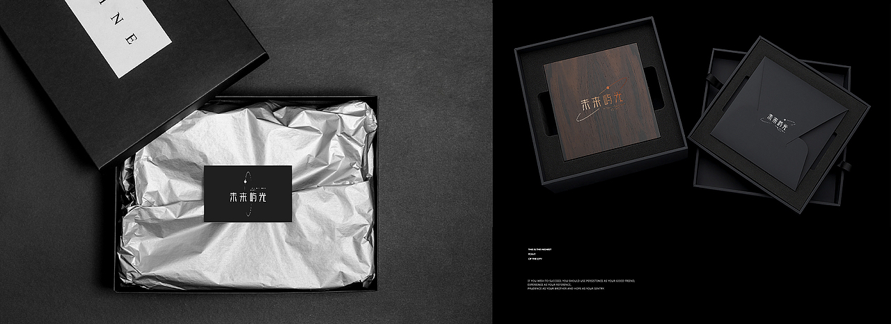 地产提案·未来屿光