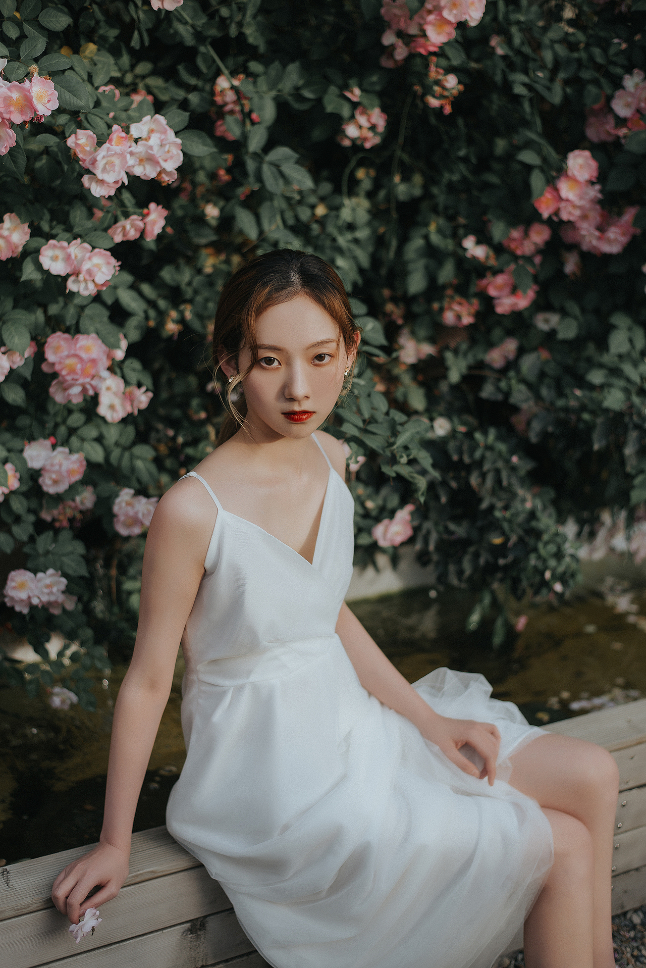 蔷薇（图ZMjU0Njc2NzQ0） - 人像摄影 - 站酷设计师阿末photo原创素材 - 站酷ZCOOL
