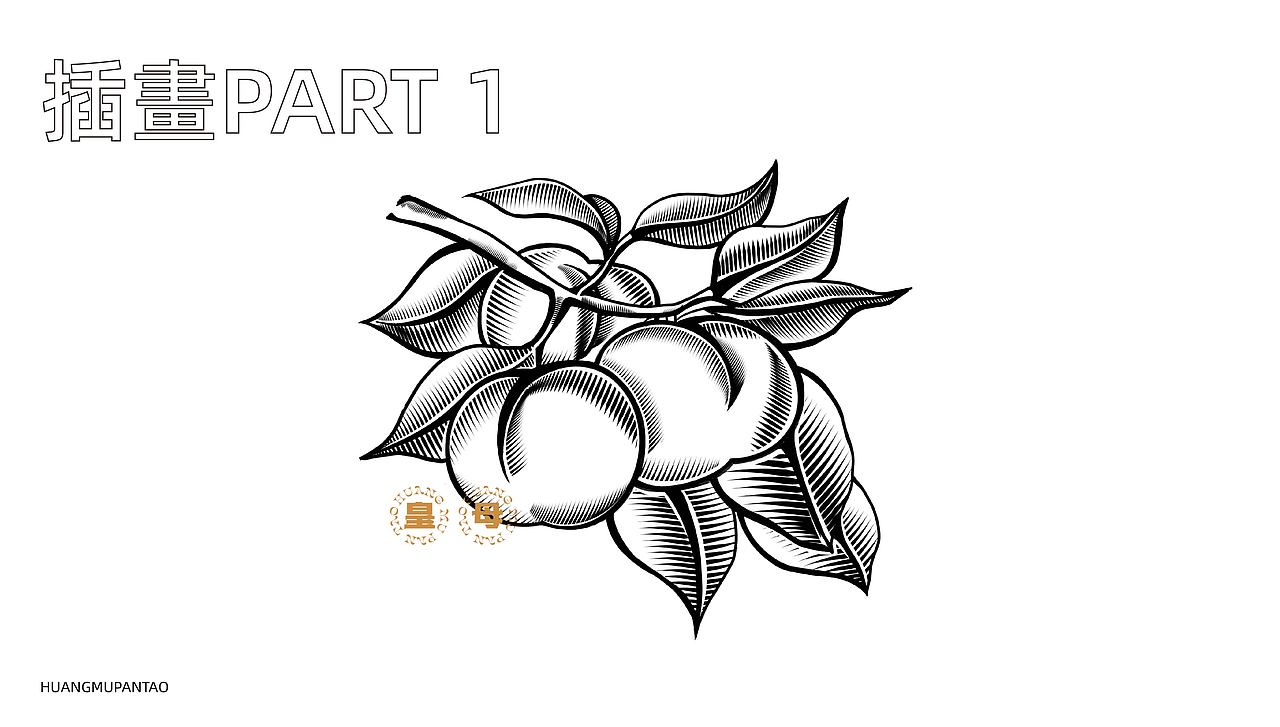 皇母蟠桃品牌重塑 及品牌推广策划