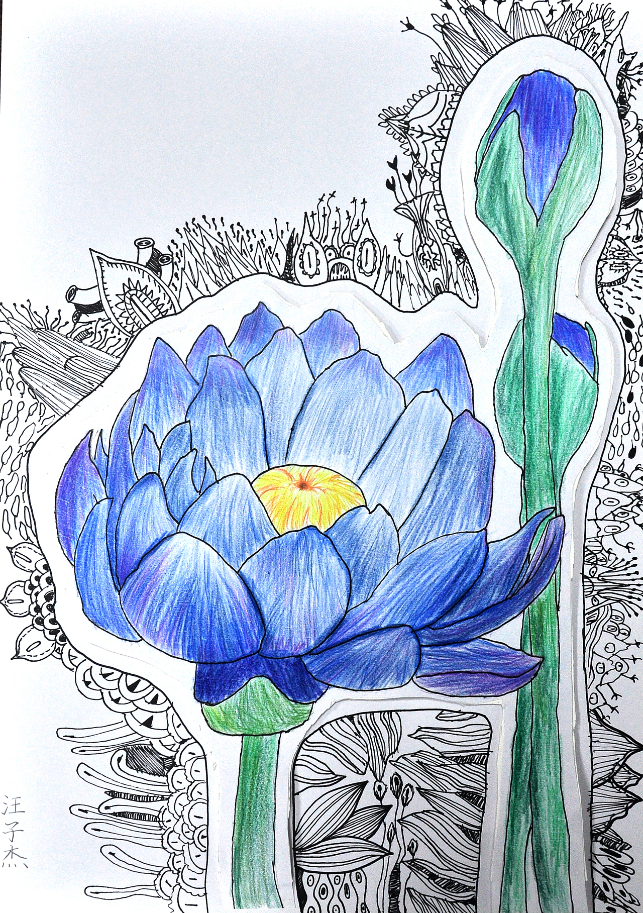 彩铅 线描（图ZMjk2MjIzMDc2） - 绘画 - 站酷设计师dxawuemc原创素材 - 站酷ZCOOL