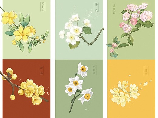 【插画练习】二十四节气  时令之花合集