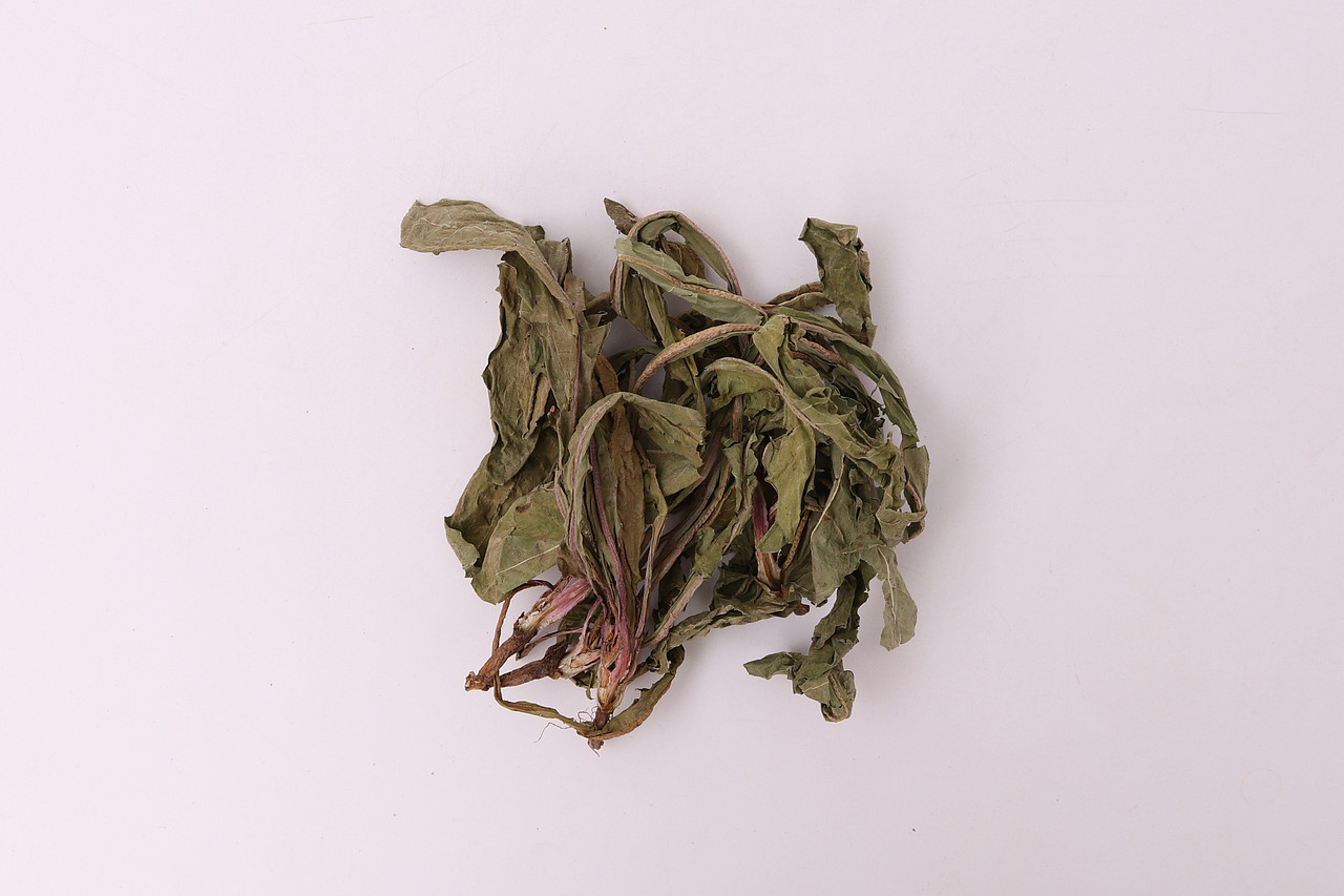 B02药材药品\C01-农产药材\V12蒲公英X1-QM