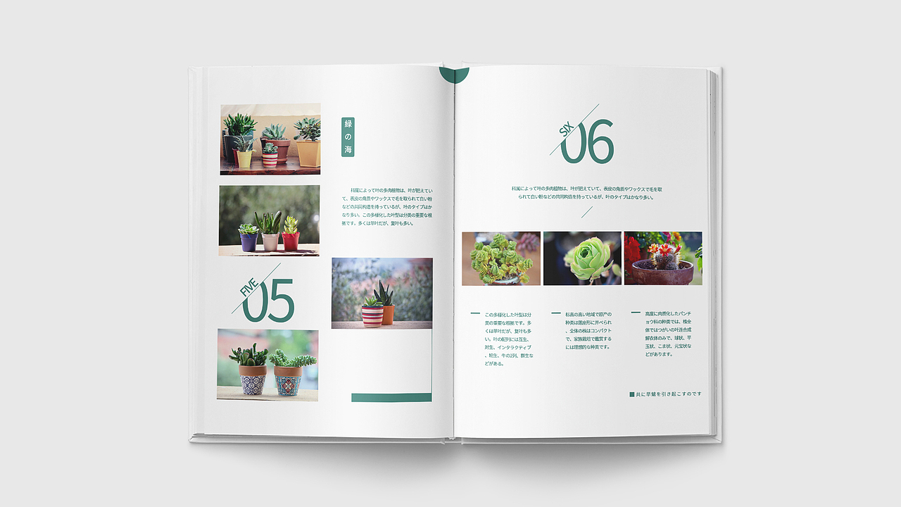 画册（图ZMTcyNzQ2MTcy） - 书籍/画册 - 站酷设计师CAONEZERO原创素材 - 站酷ZCOOL