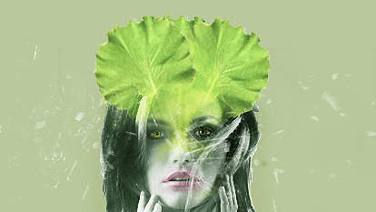 蔬菜人物（圖ZMTQ2NTI3OTg4） - 海報(bào) - 站酷設(shè)計(jì)師niunia原創(chuàng)素材 - 站酷ZCOOL