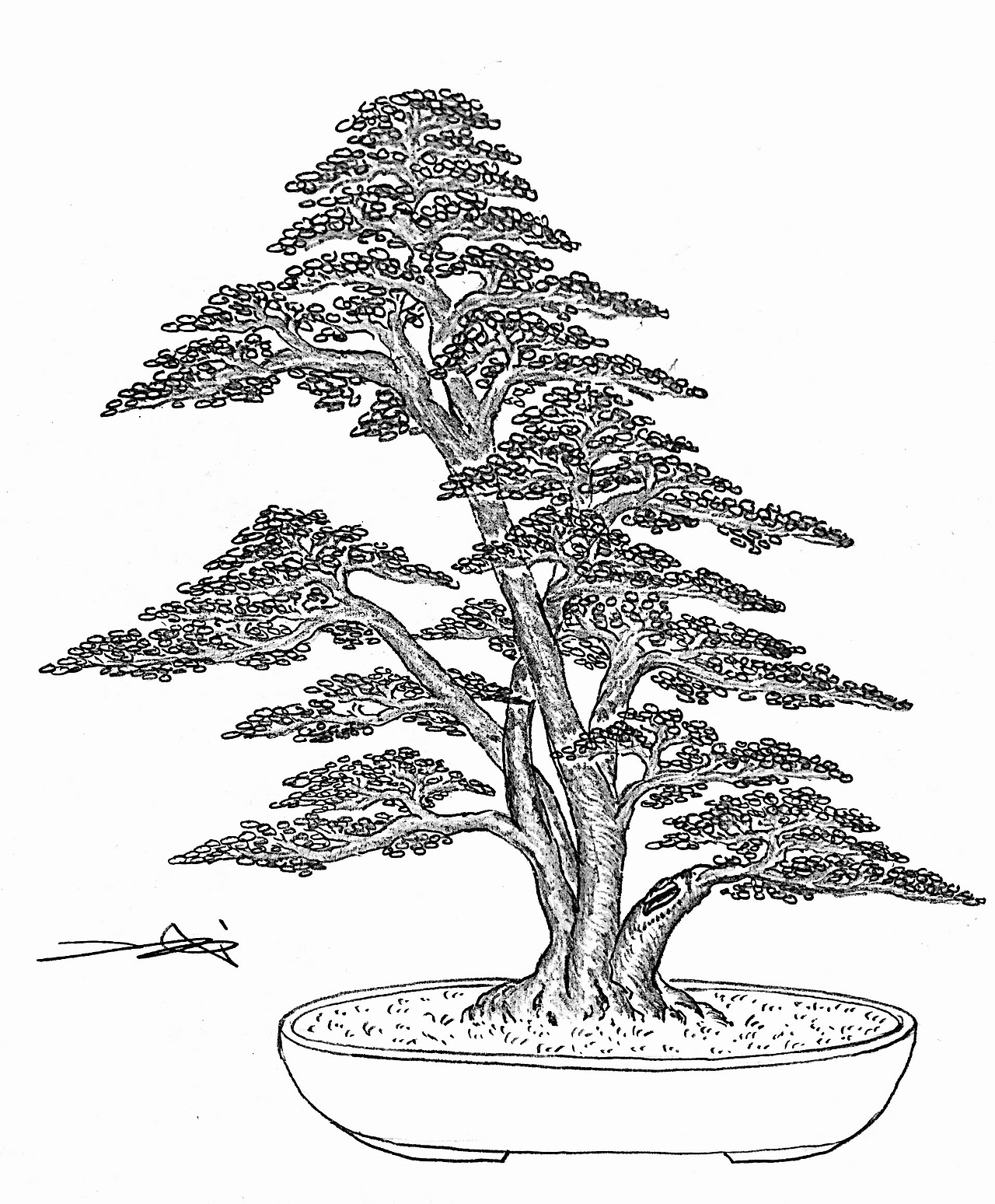 吕绍武手绘盆景设计效果图（图ZMTY4MDkwNzYw） - 绘画 - 站酷设计师慧武原创素材 - 站酷ZCOOL