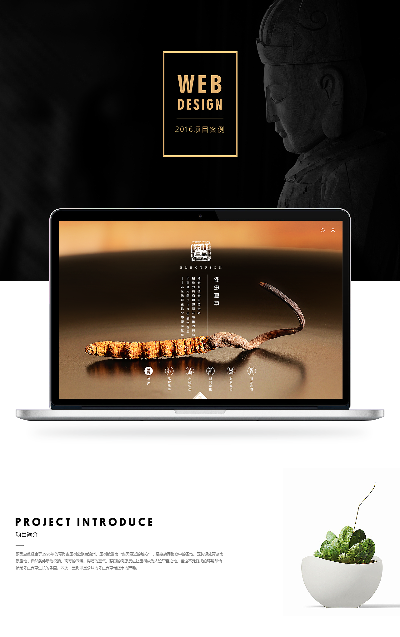 颐品虫草官网项目（图ZODkzMzUxOTI=） - 企业官网 - 站酷设计师Lyyy_原创素材 - 站酷ZCOOL