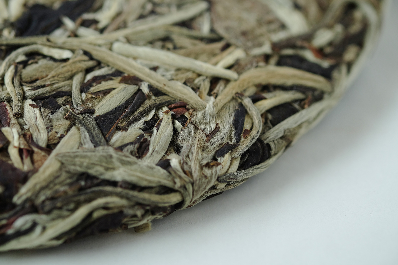 五玄土 || 吃茶去