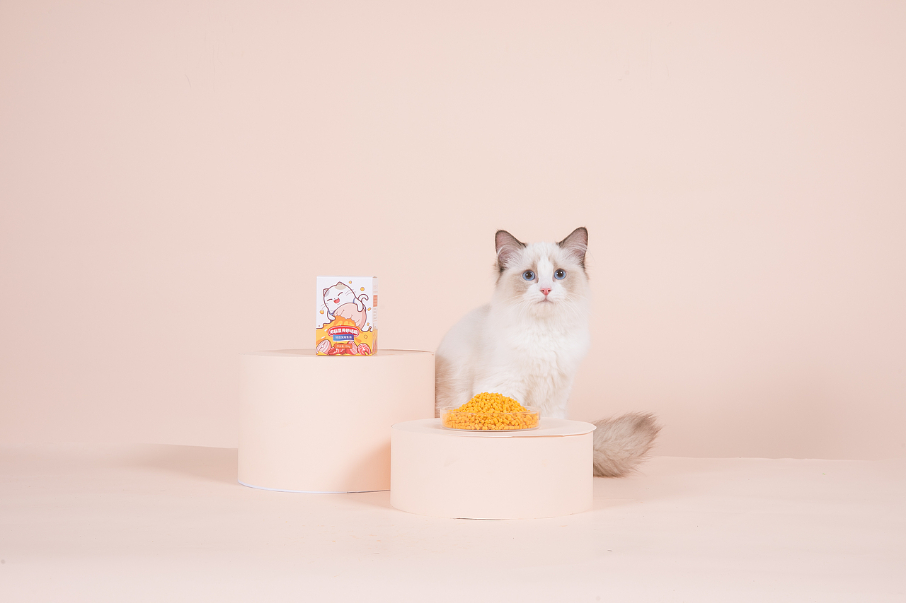 猫咪食品拍摄