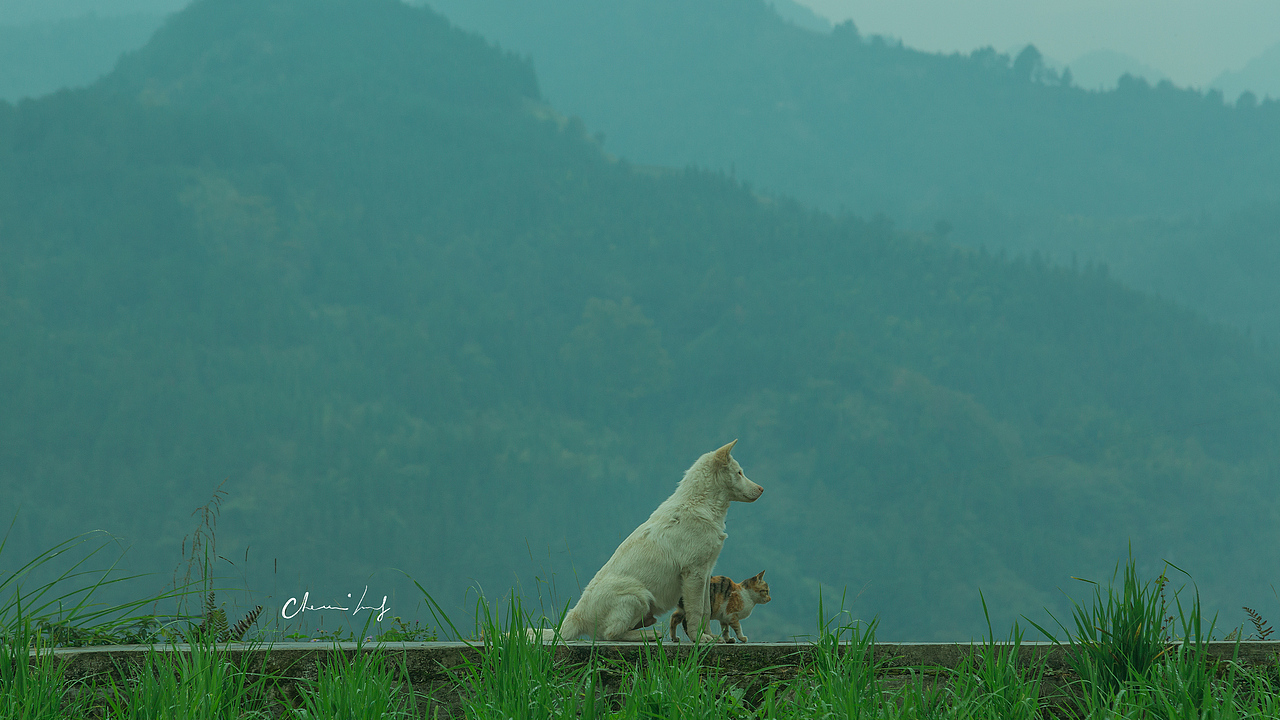 那山那人那狗（图ZMTgzOTkyMTcy） - 人文/纪实摄影 - 站酷设计师是发条陈呀原创素材 - 站酷ZCOOL