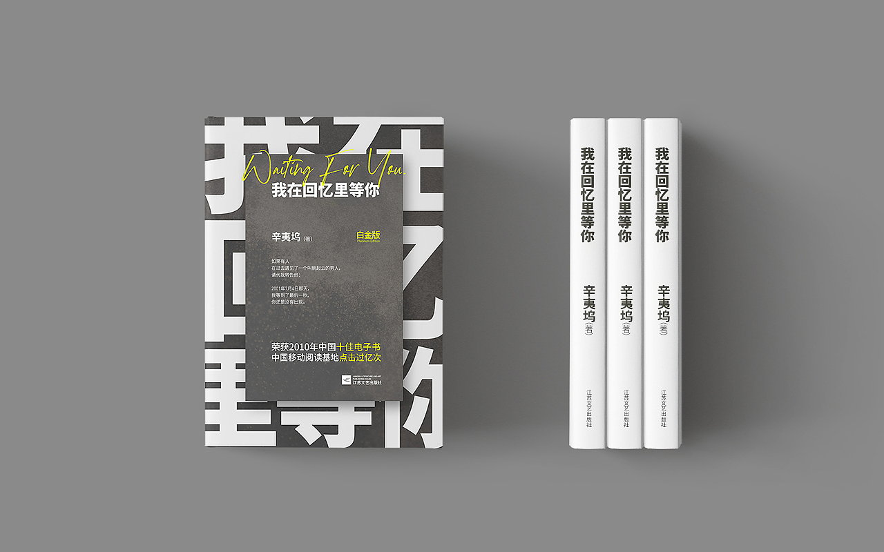 版式设计-书籍封面设计