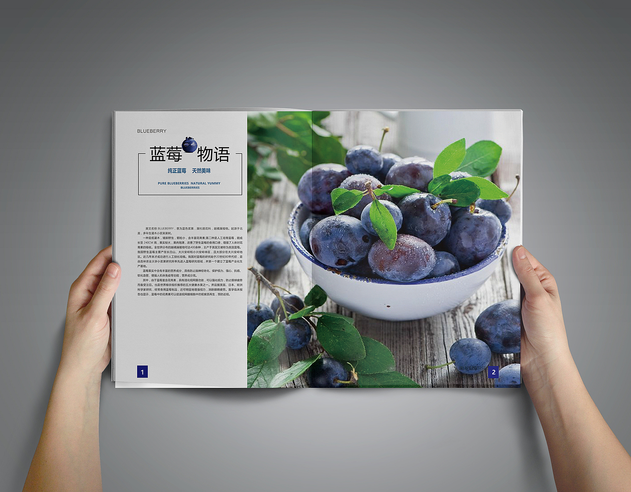 画册（图ZMTM4NDk1OTk2） - 书籍/画册 - 站酷设计师辰辰辰辰辰啊原创素材 - 站酷ZCOOL