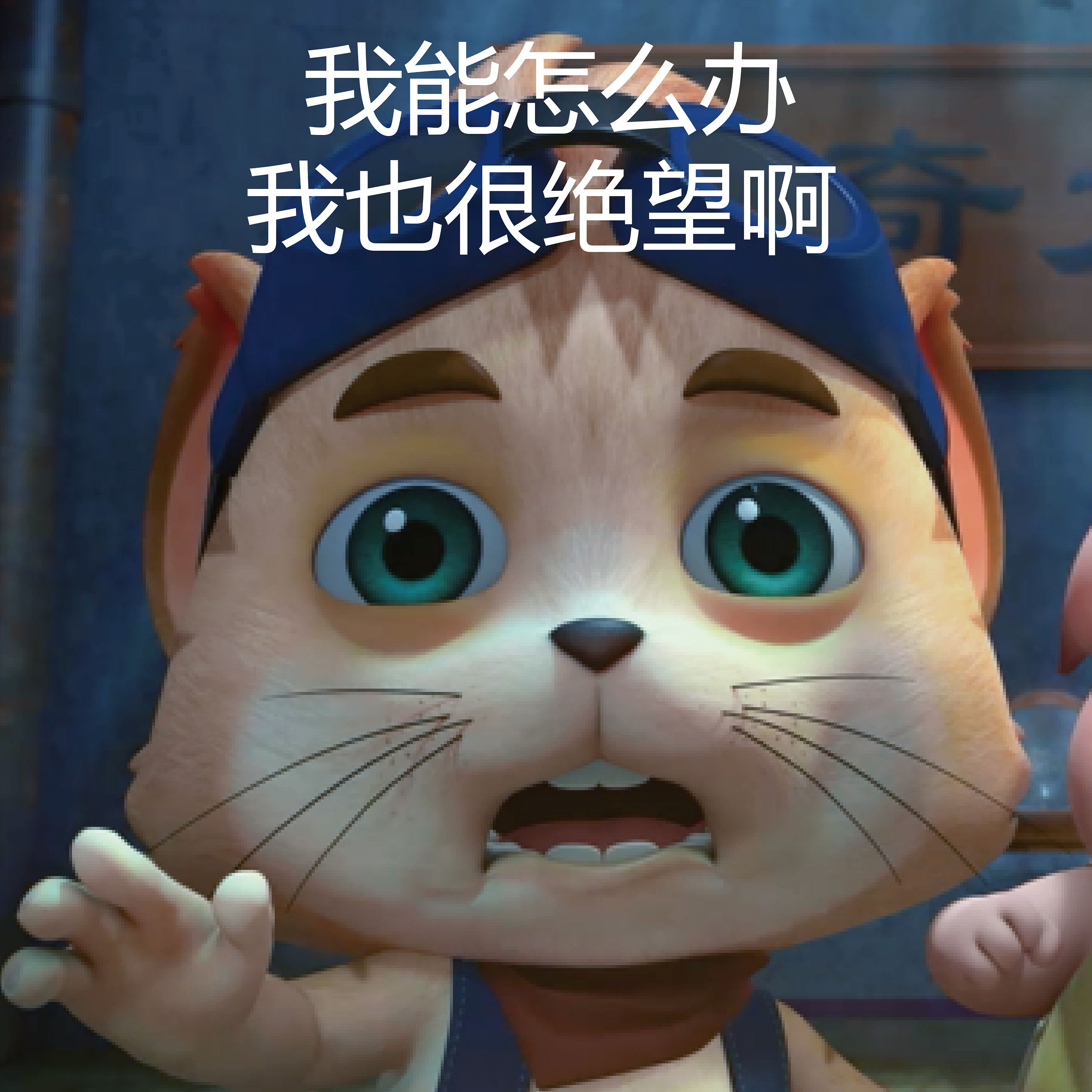 探探猫搞笑图片合集0703|动漫|动画片|指幻动漫_原创作品-站酷zcool