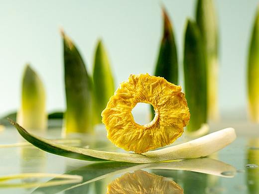 食物本身的美-凤梨