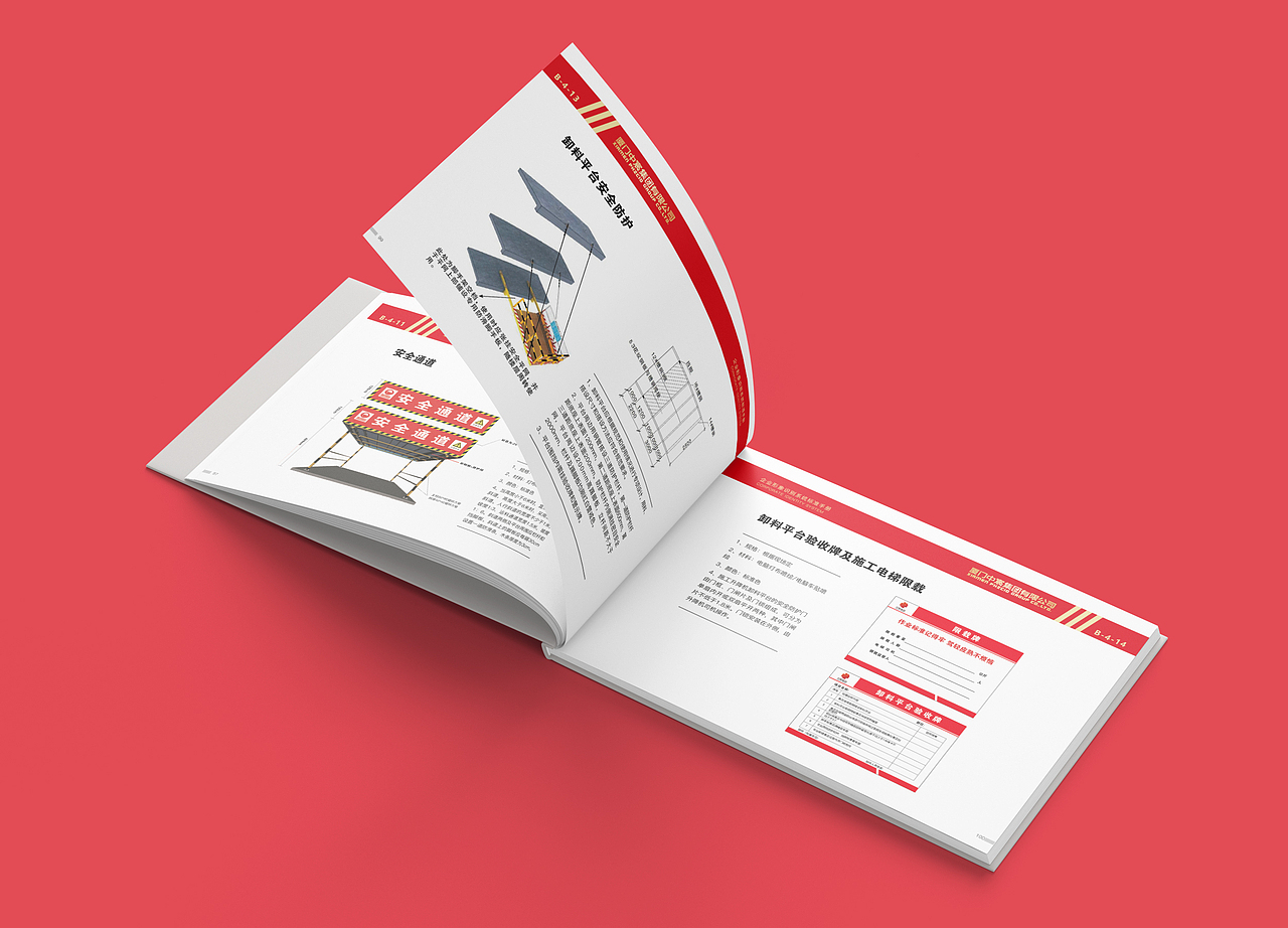 厦门中宸集团VIS系统设计