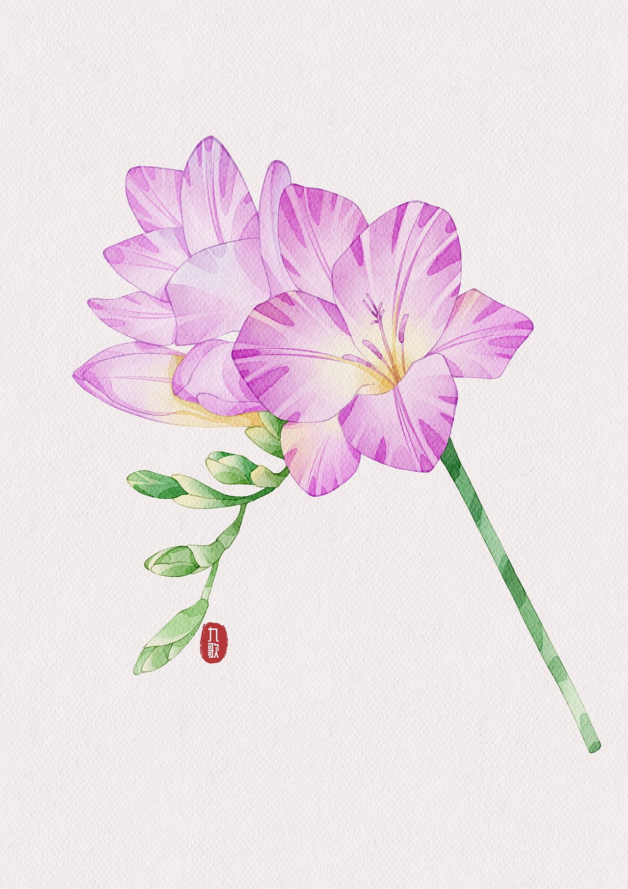 近期练习(花卉类)