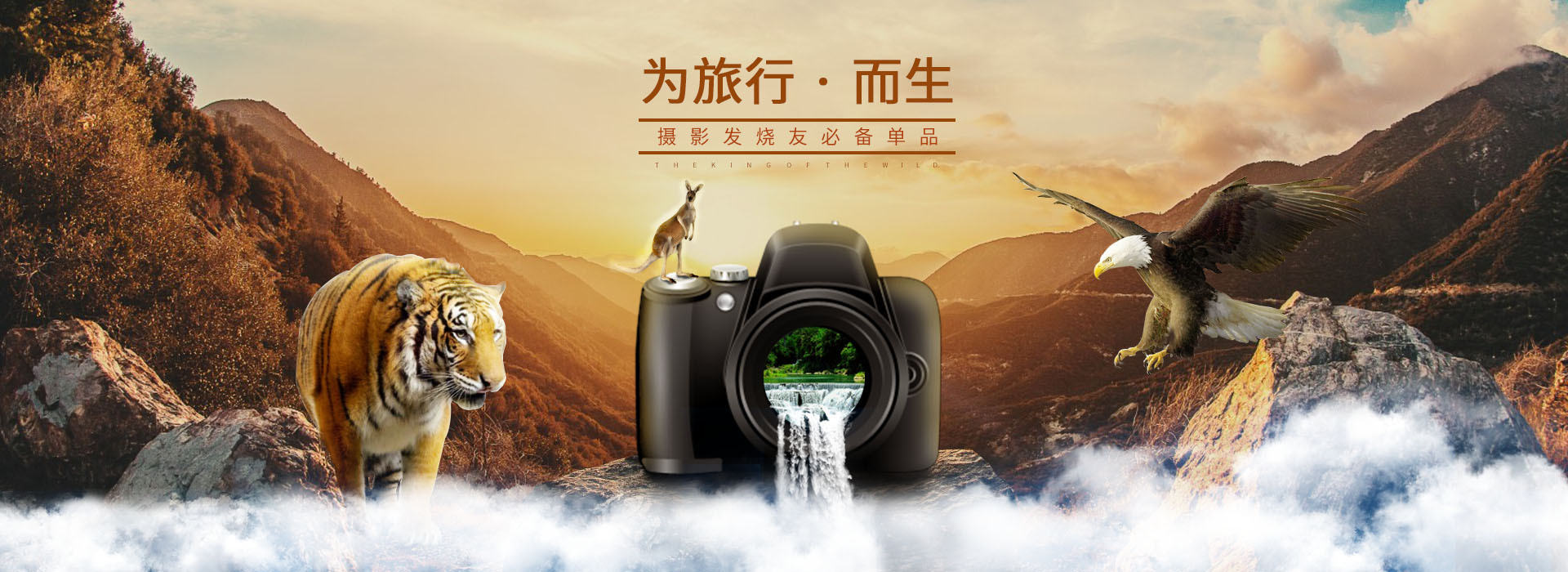 照相机|平面|海报|lx太子 - 原创作品 - 站酷 (zcool)