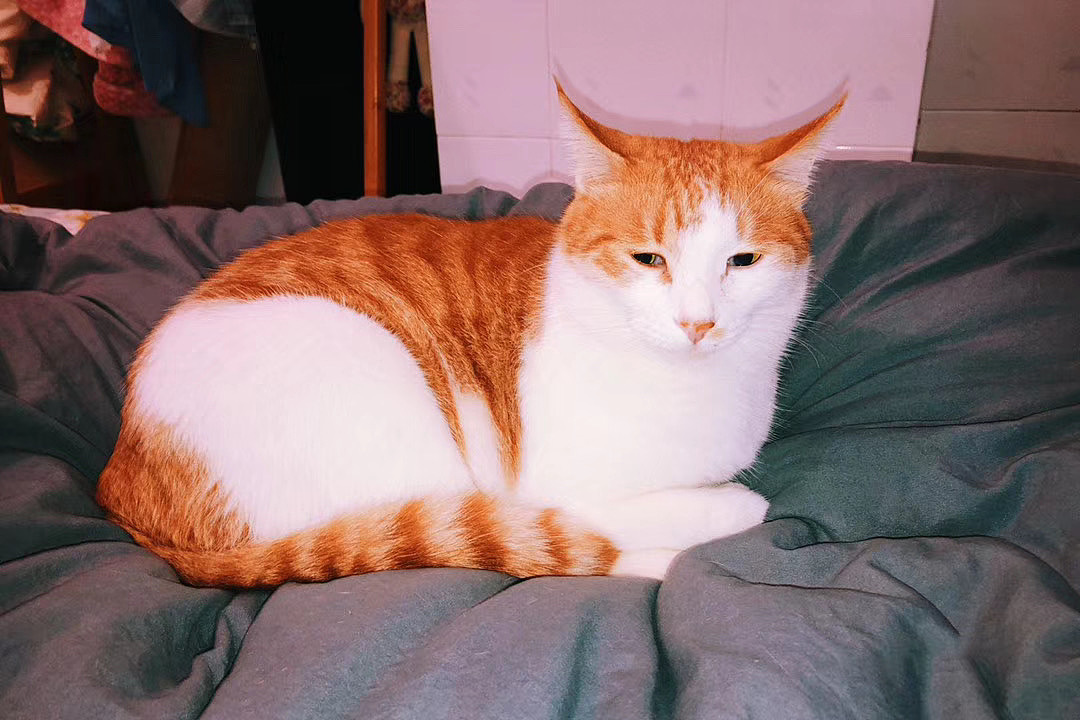 生活碎片 温柔可见（图ZMjEzNTc5Mjky） - 风光摄影 - 站酷设计师九月ww原创素材 - 站酷ZCOOL