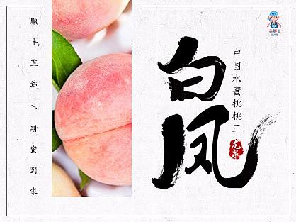 2017淘宝天猫微信海报（个人主页-ZMjYyNTI1ODQ=） - 电商 - 站酷设计师猫眼1原创素材 - 站酷ZCOOL