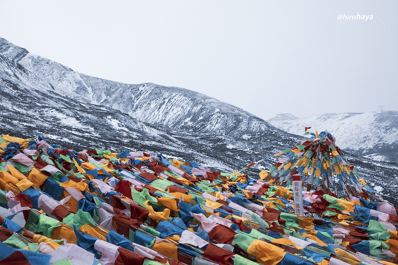 为你看尽千山雪 为你挡众神旨意