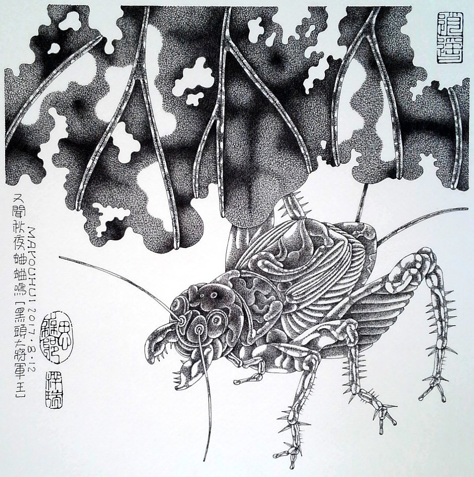钢笔画【被放生的乌龟】（图ZOTEwMDIzMDQ=） - 绘画 - 站酷设计师马幼惠的图画原创素材 - 站酷ZCOOL