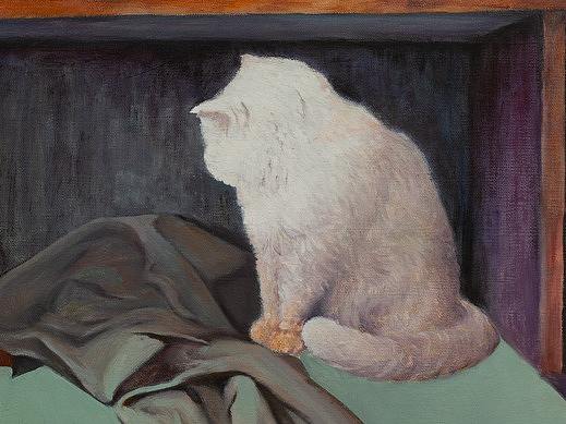 貓（個人主頁-ZNDk3ODE2NjQ=） - 繪畫 - 站酷設(shè)計師Unclegg原創(chuàng)素材 - 站酷ZCOOL