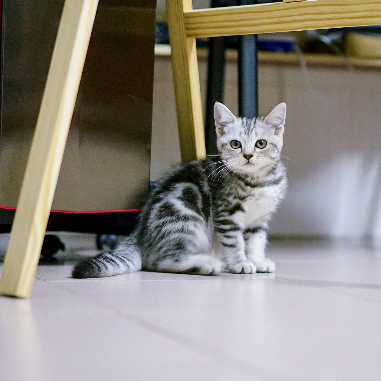 给自己画的头像（图ZMjE0ODgxNDIw） - 艺术插画 - 站酷设计师naraku_rin原创素材 - 站酷ZCOOL