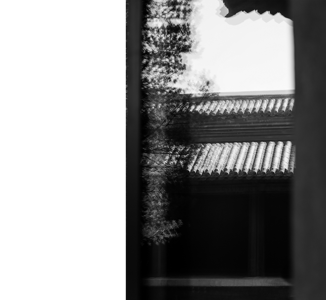 《葭月游园记》