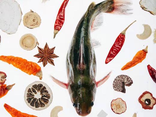 2019年高级静物创作型摄影作品