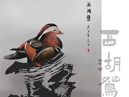 手绘动物插画（一）