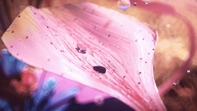 HUAWEI nova7新品发布（图ZMjA3MDA5NDI4） - 动画/影视 - 站酷设计师Doyz原创素材 - 站酷ZCOOL