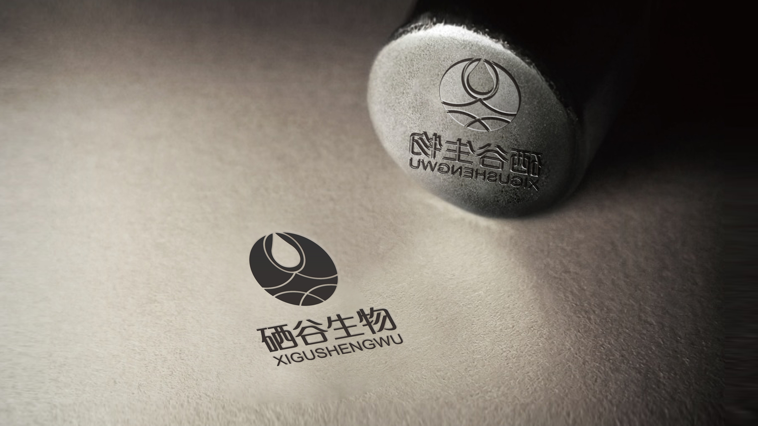 硒谷生物标志设计