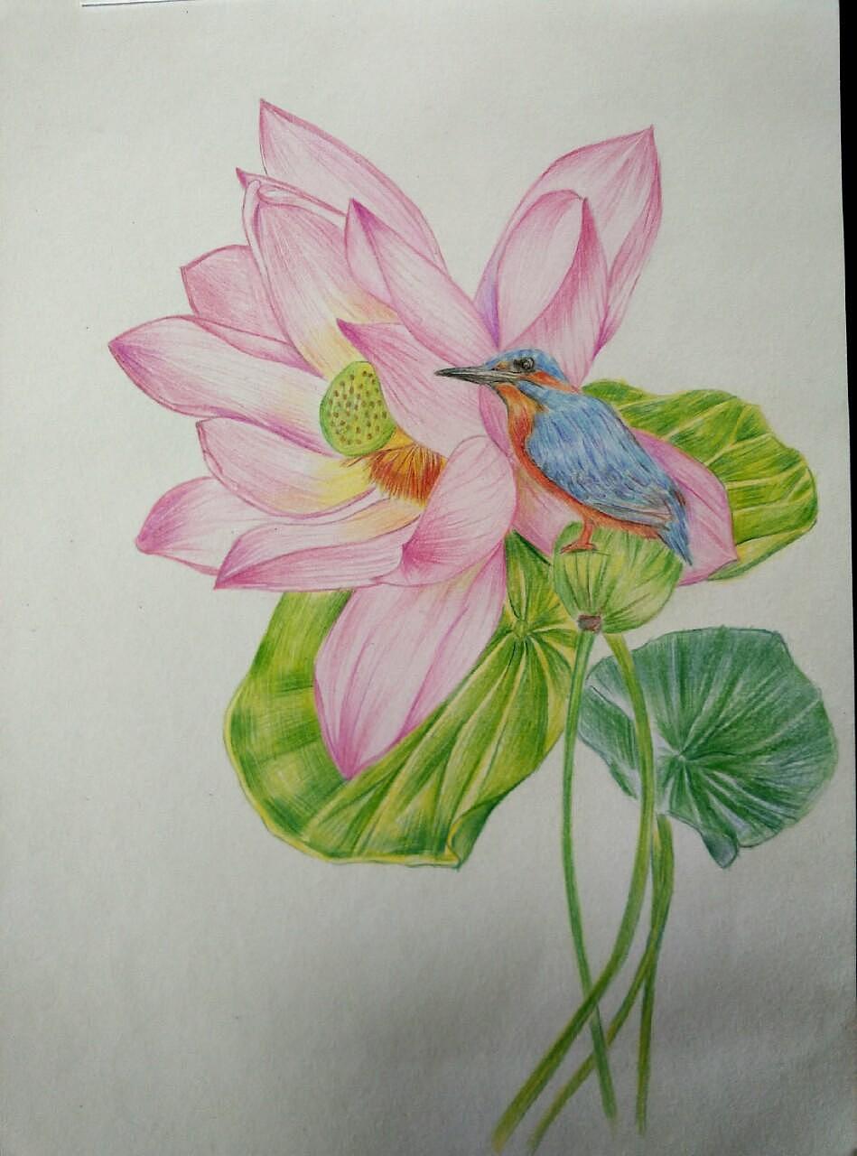 临摹的彩铅水彩步骤