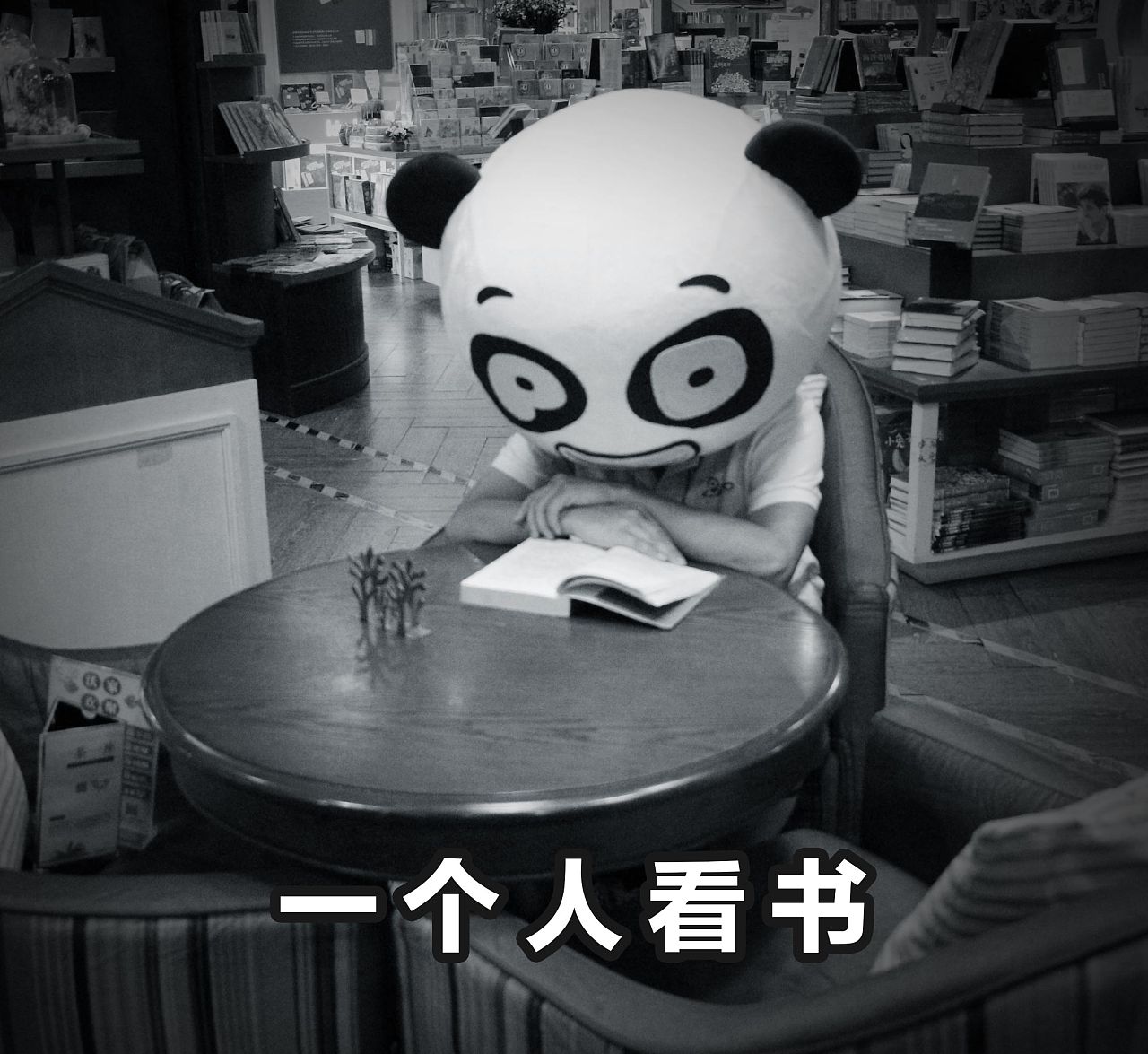 表情包组图摄影 后期修图处理 微信微博配图 单身狗一个人