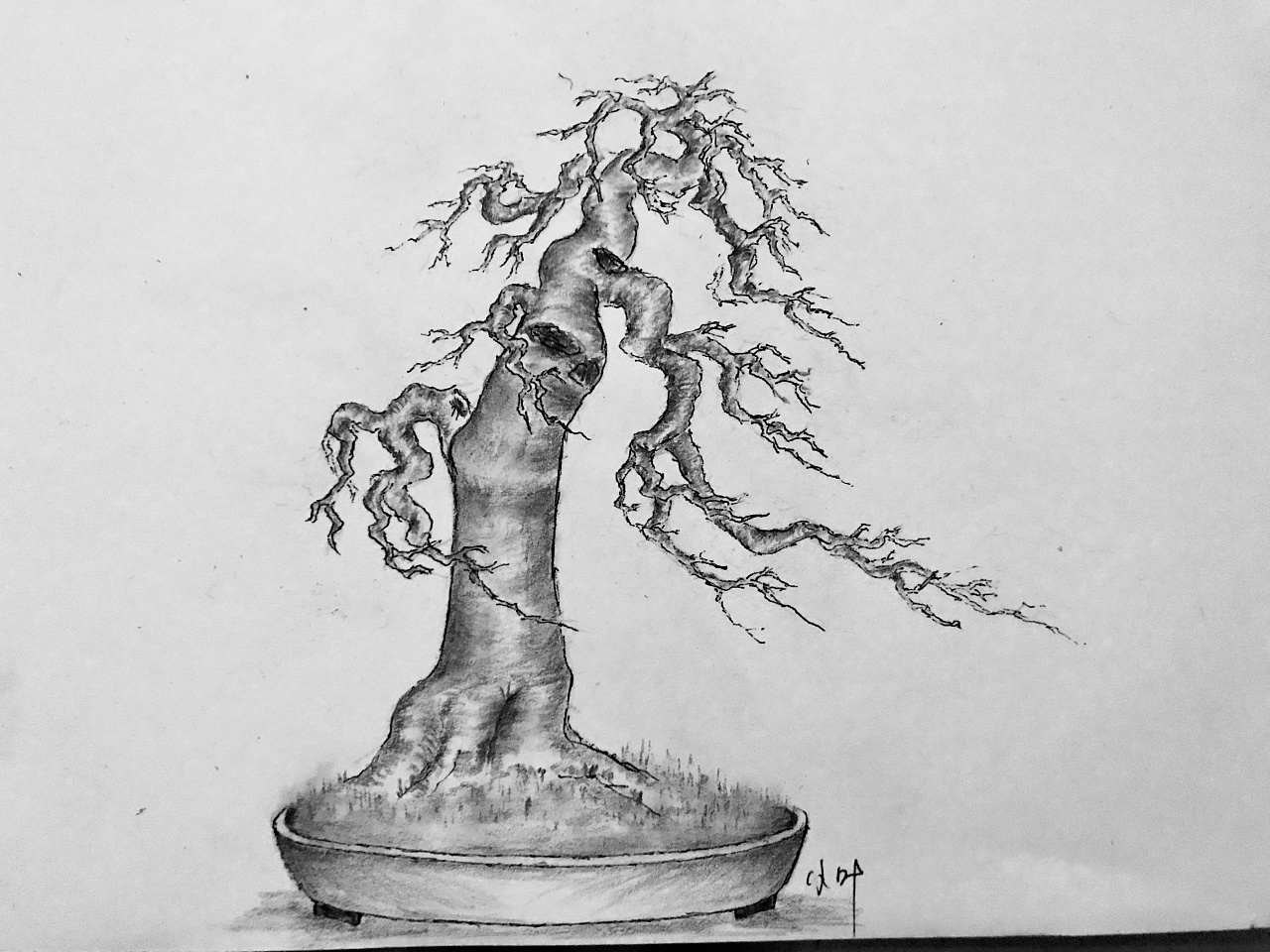 手绘盆景设计图