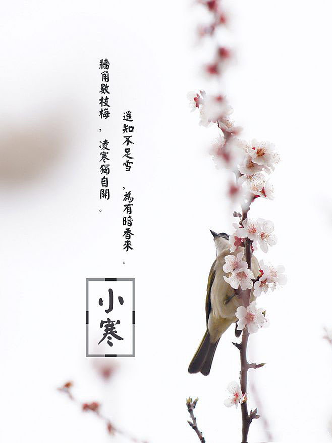 24节气练习|平面|海报|托马斯旋转小火车 - 原创