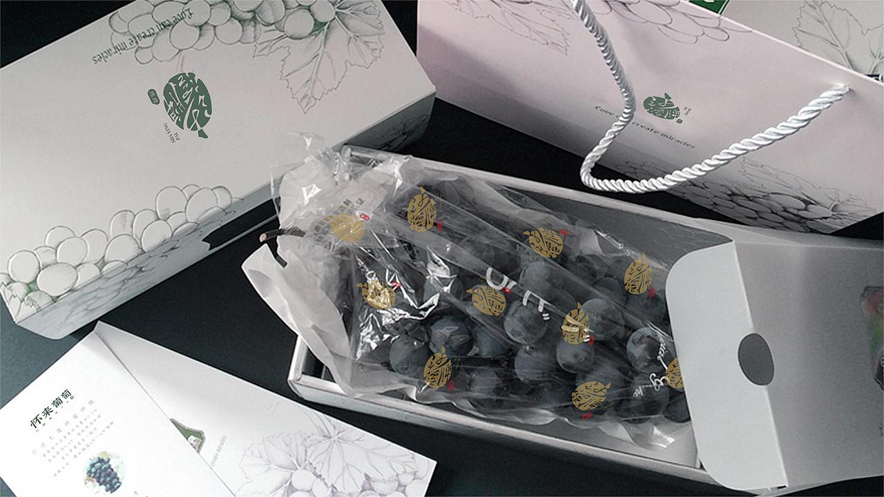 【零度创意】沙营牌葡萄logo及包装设计（图ZMjc1Mzc2Njg4） - 包装 - 站酷设计师零度艺舍品牌策划原创素材 - 站酷ZCOOL
