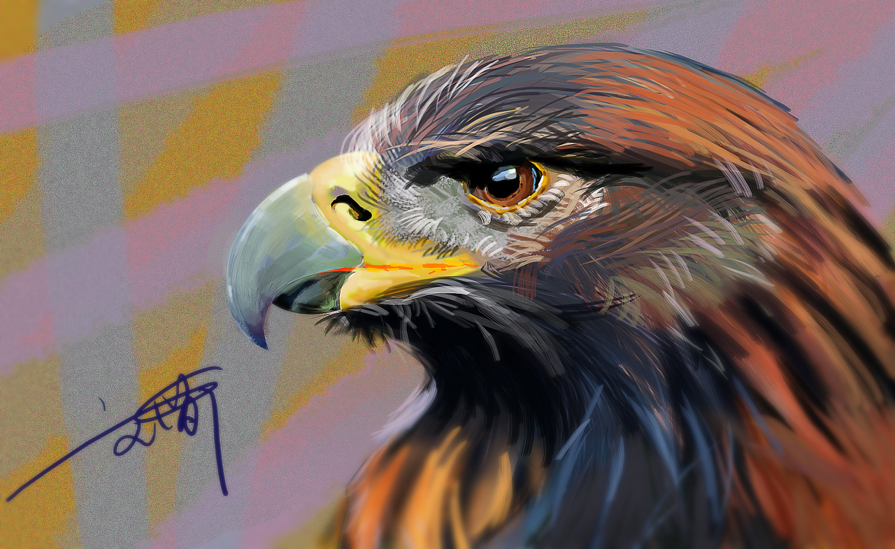 鹰- 原创作品 - 站酷(zcool)