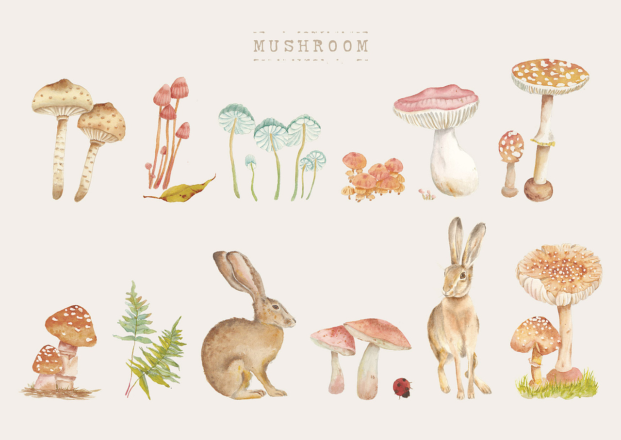 水彩小元素集合