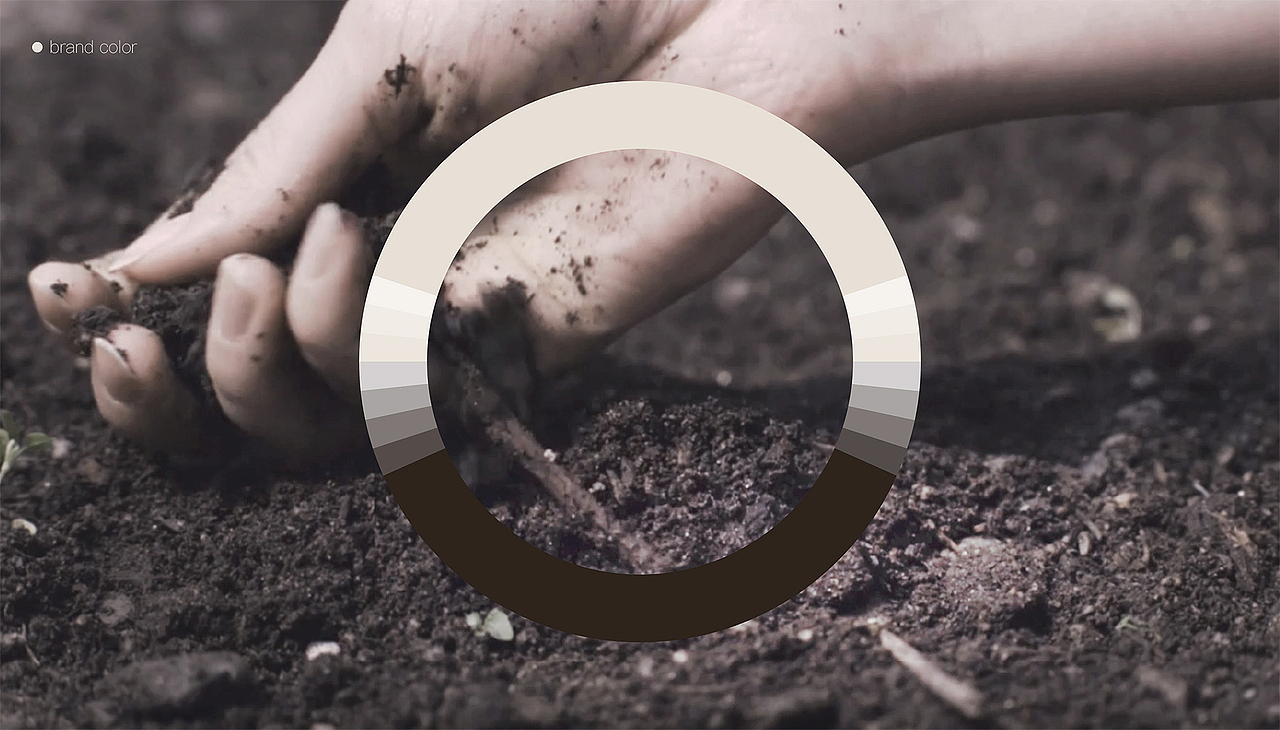 Paton. Brand 2021 精选作品