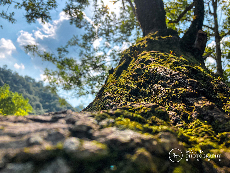 MANTIS 随拍2021（图ZMjgxNjA5Nzgw） - 风光摄影 - 站酷设计师aaa62621185原创素材 - 站酷ZCOOL