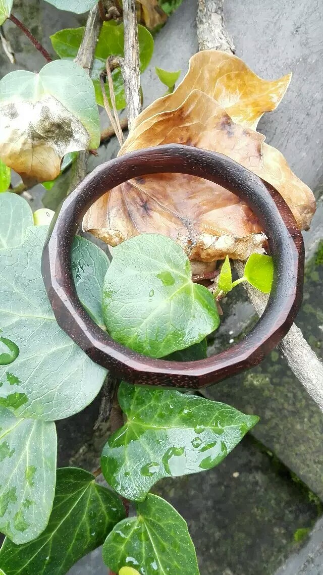 36面(大概?)黑檀木镯