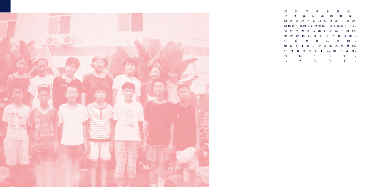 The monster's mind(my book design)